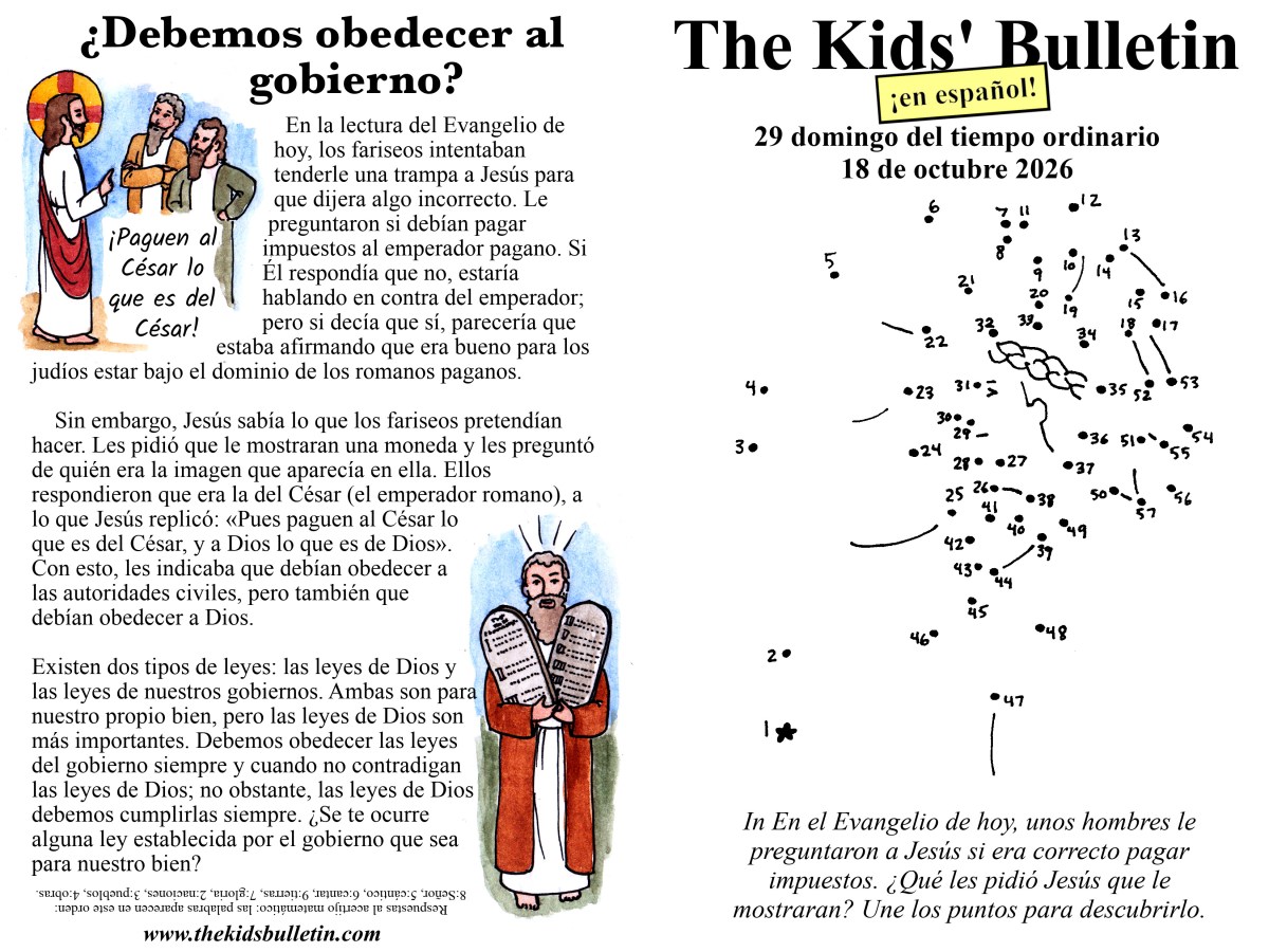 29 domingo del tiempo&nbsp;ordinario